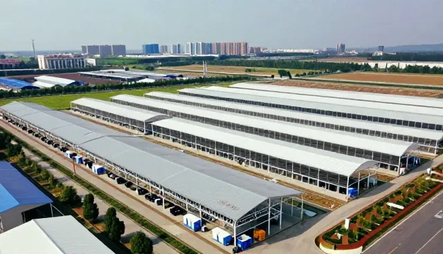 上海木鸡网络科技有限公司介绍域名与服务器托管在互联网中的应用